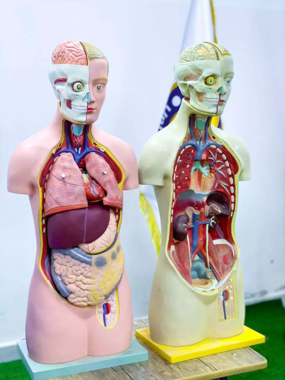 صور احياء اليوم العالمي للمختبرات الطبية