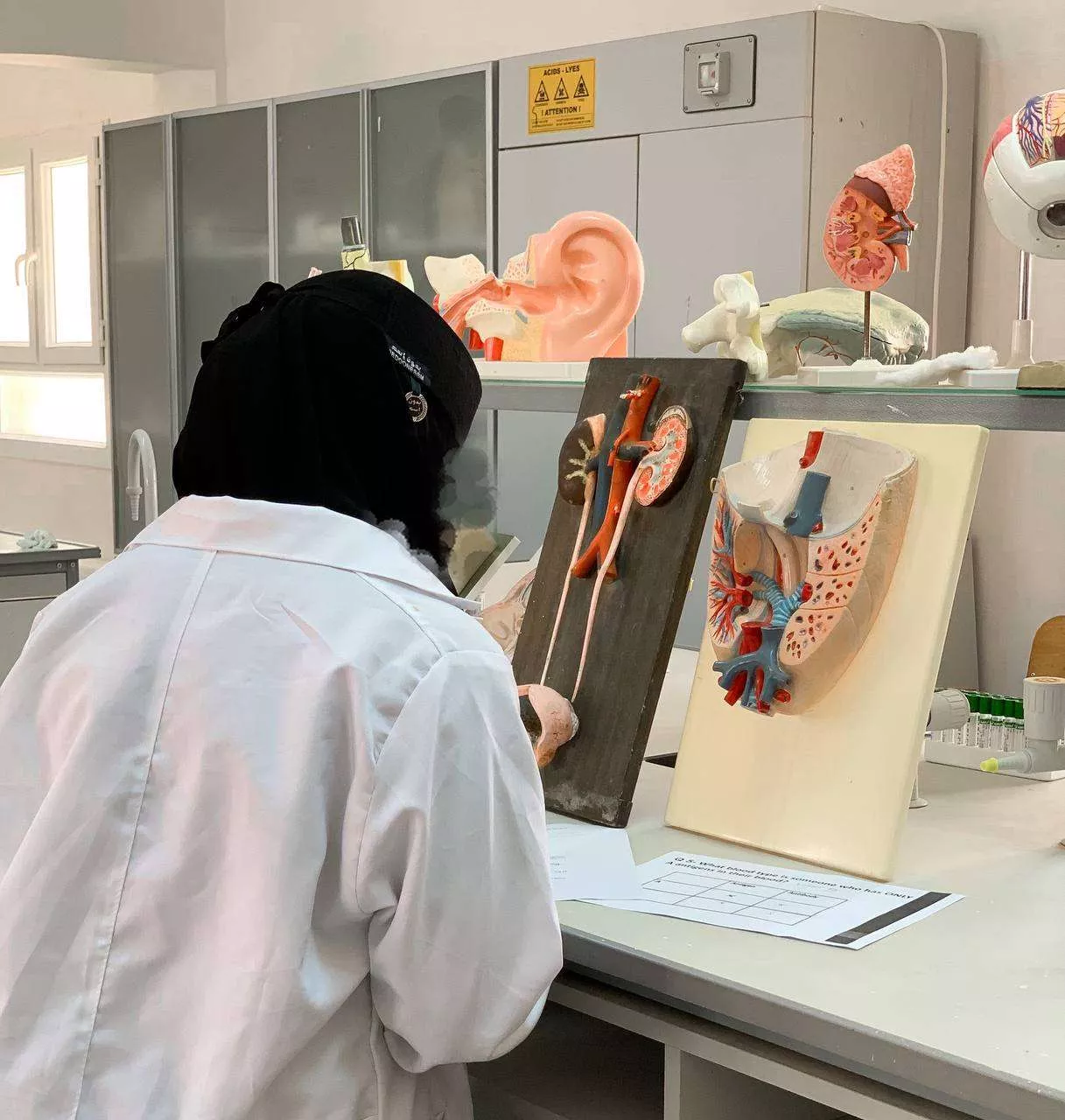 صور احياء اليوم العالمي للمختبرات الطبية